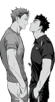 Oikawa Tooru (Haikyuu!!) Rule 34 Image