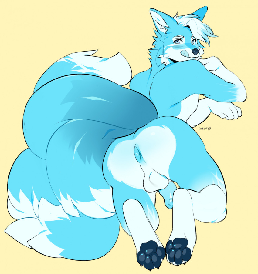 Anthro Rule 34 Image