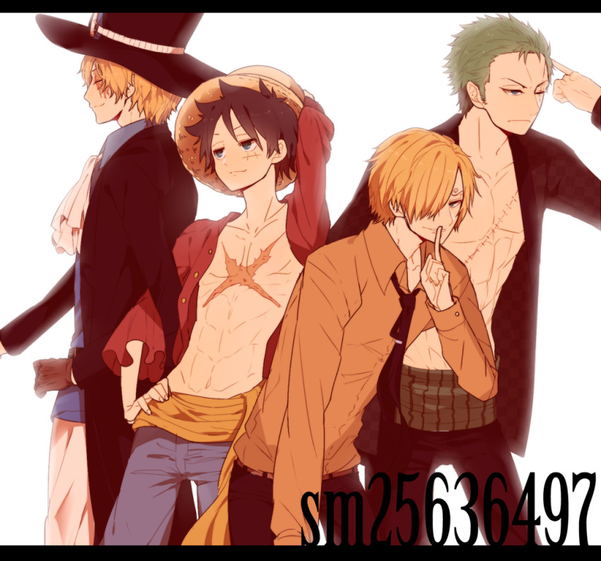 Roronoa Zoro (Monkey D. Luffy) Rule 34 Image