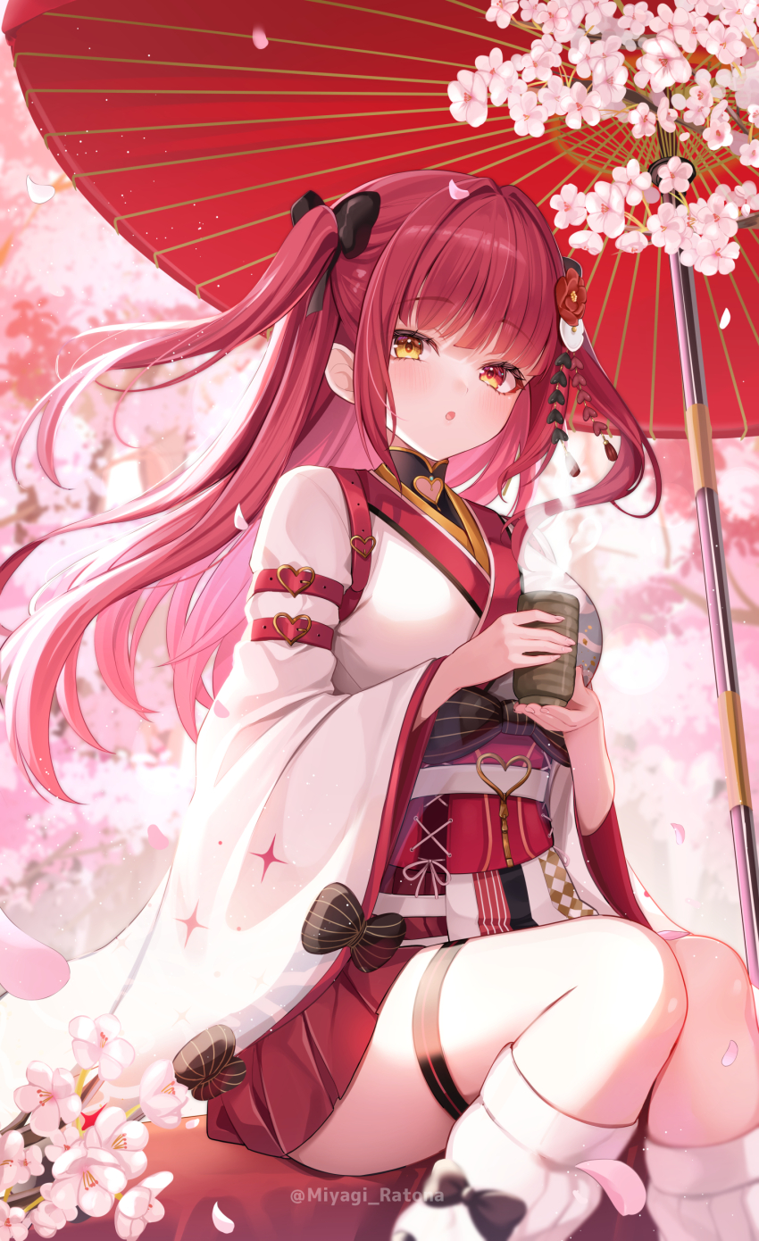 Houshou Marine (Hololive) Rule 34 Image