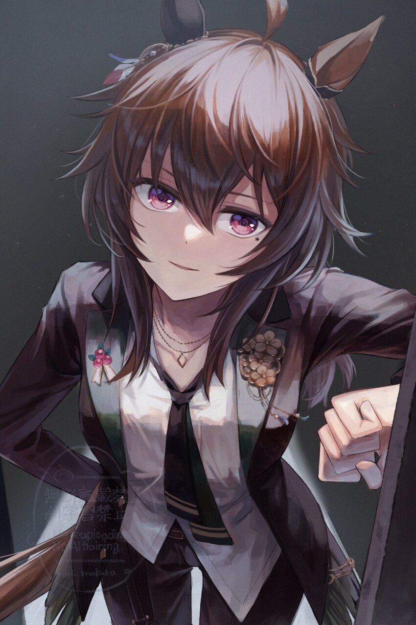Nakayama Festa (Umamusume) Rule 34 Image