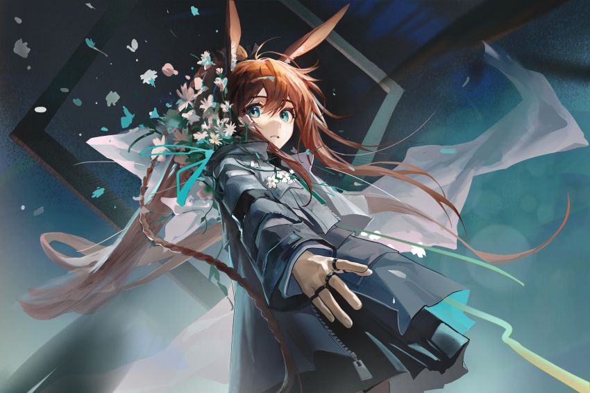 Amiya (Arknights) Rule 34 Image