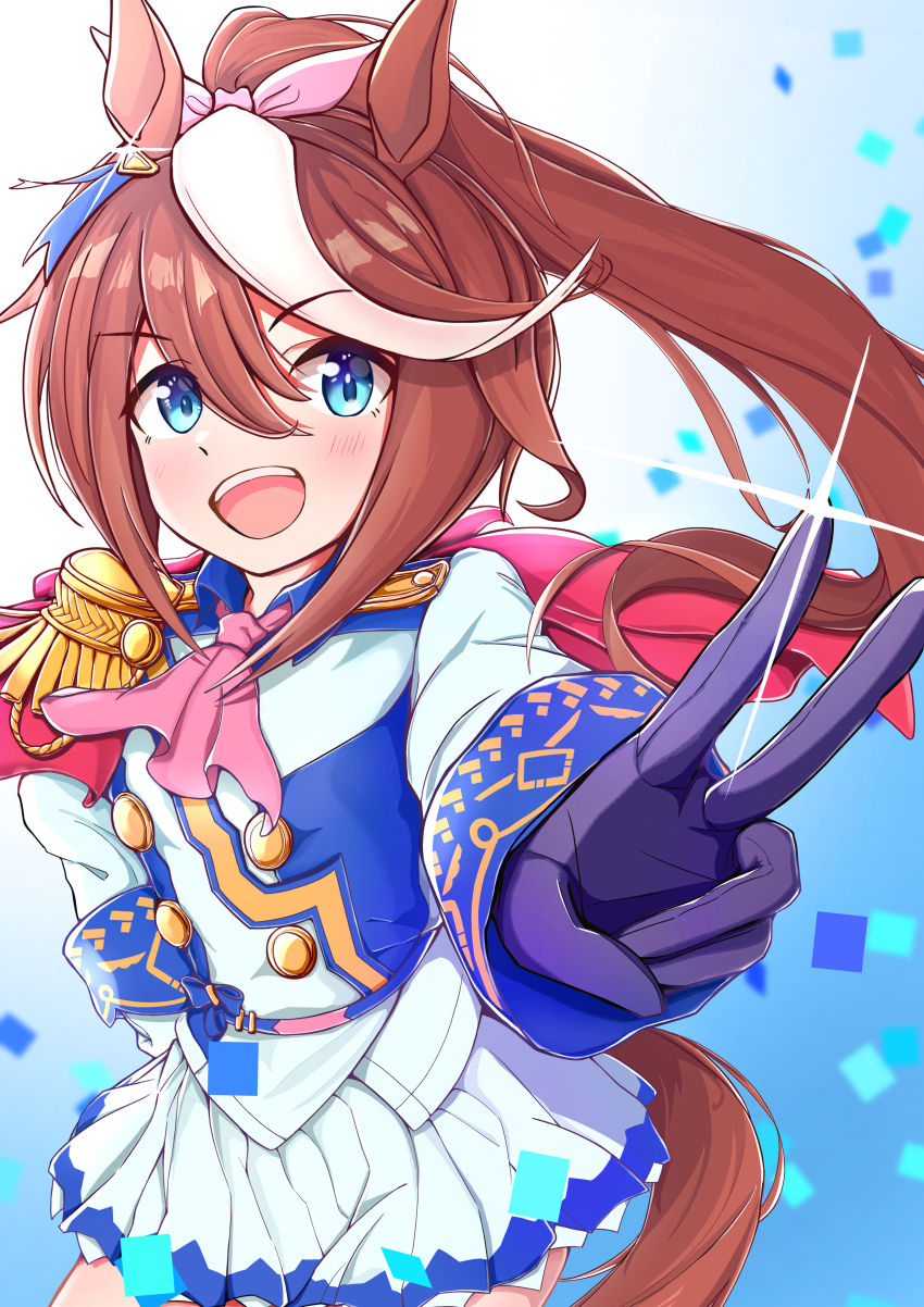 Tokai Teio (Umamusume) Rule 34 Image