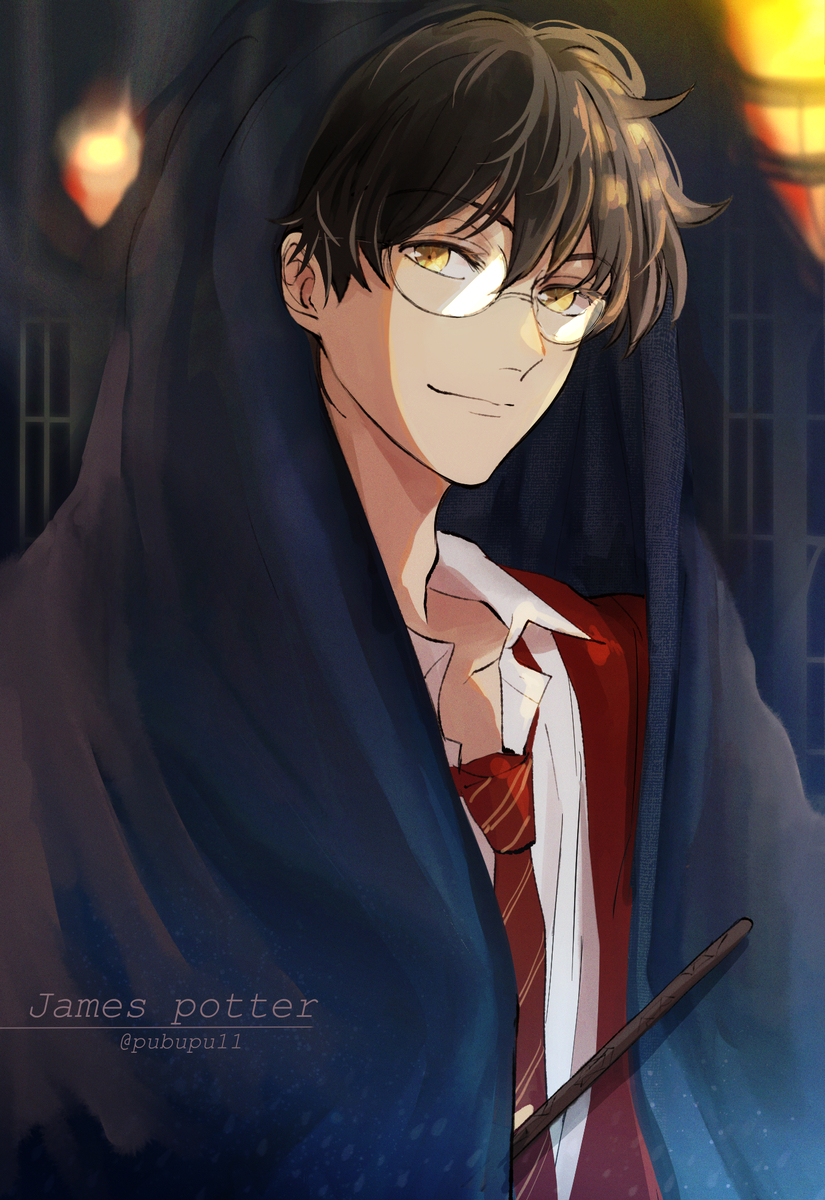 James Potter (Harry Potter (Series)) Rule 34 Image