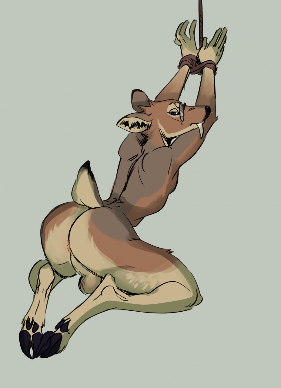 Anthro Rule 34 Image