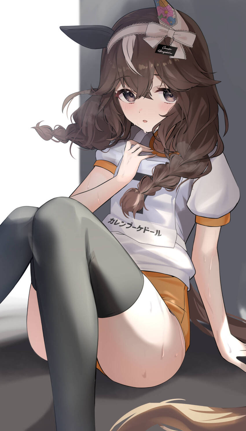 Umamusume Rule 34 Image