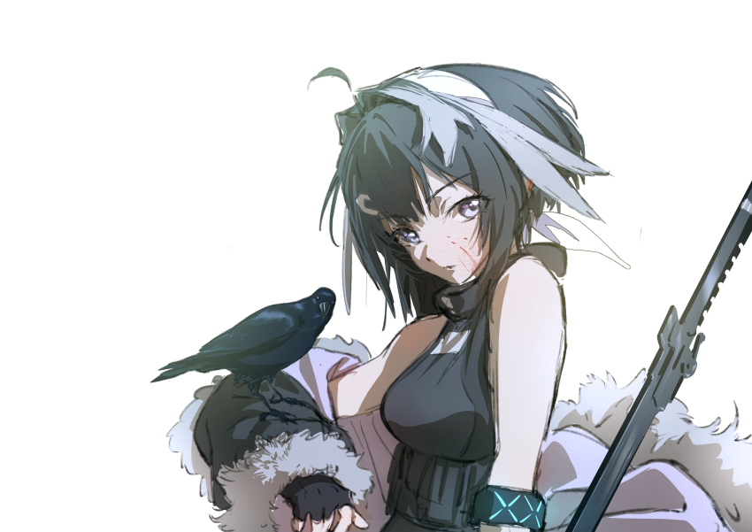 La Pluma (Arknights) Rule 34 Image