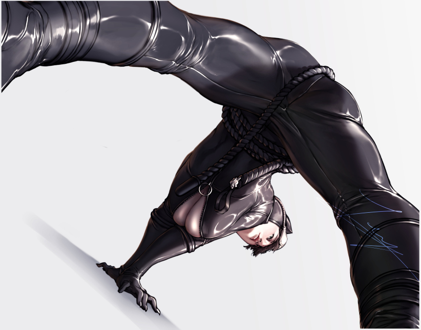 Catwoman (Batman (Series)) Rule 34 Image