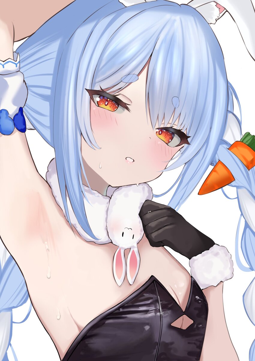 Usada Pekora (Hololive) Rule 34 Image