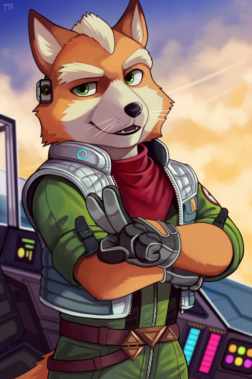 Fox Mccloud (Mario (Series)) Rule 34 Image