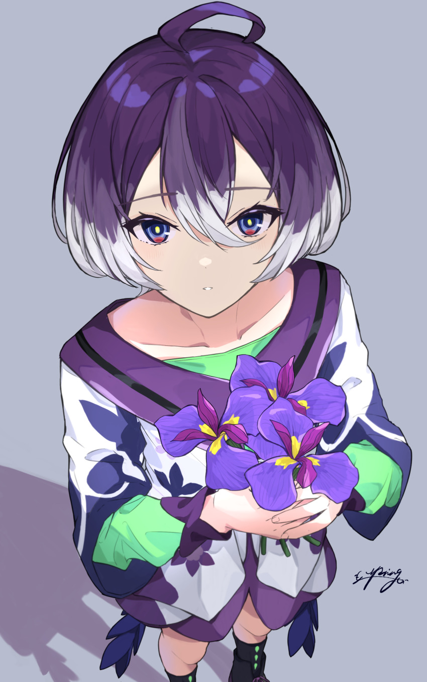 Kamitsubaki Studio Rule 34 Image