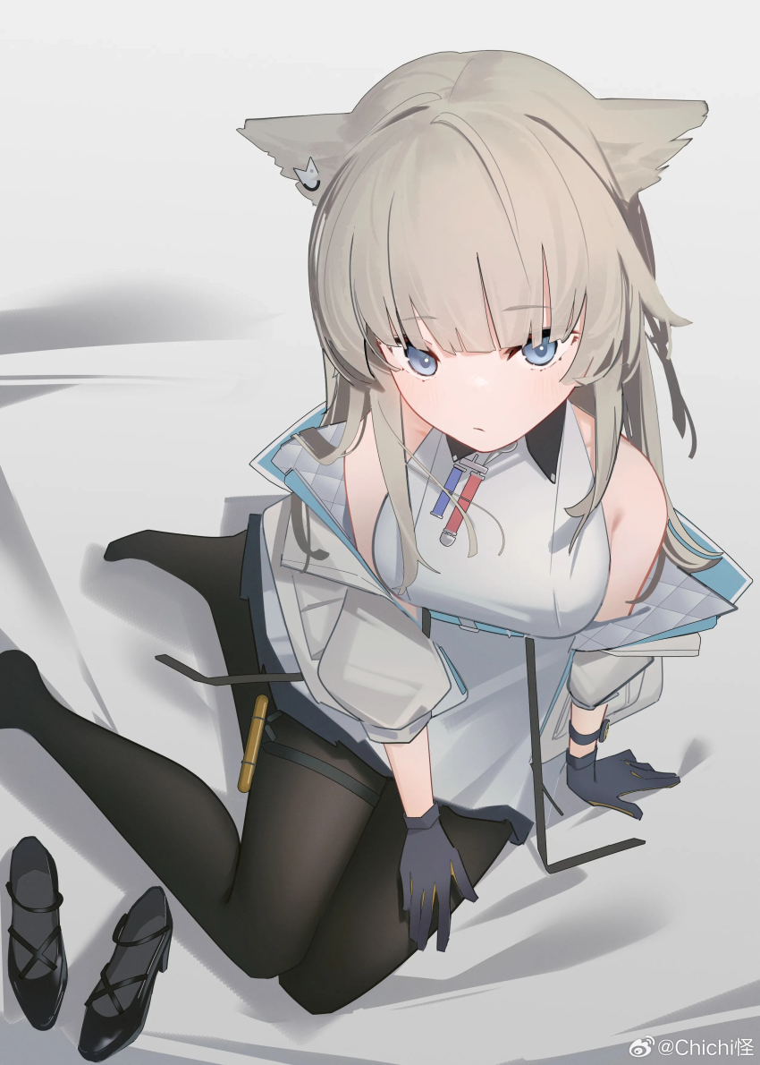 Perlica (Arknights) Rule 34 Image