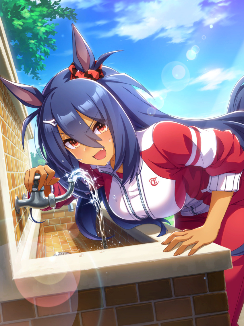 Hishi Amazon (Umamusume) Rule 34 Image