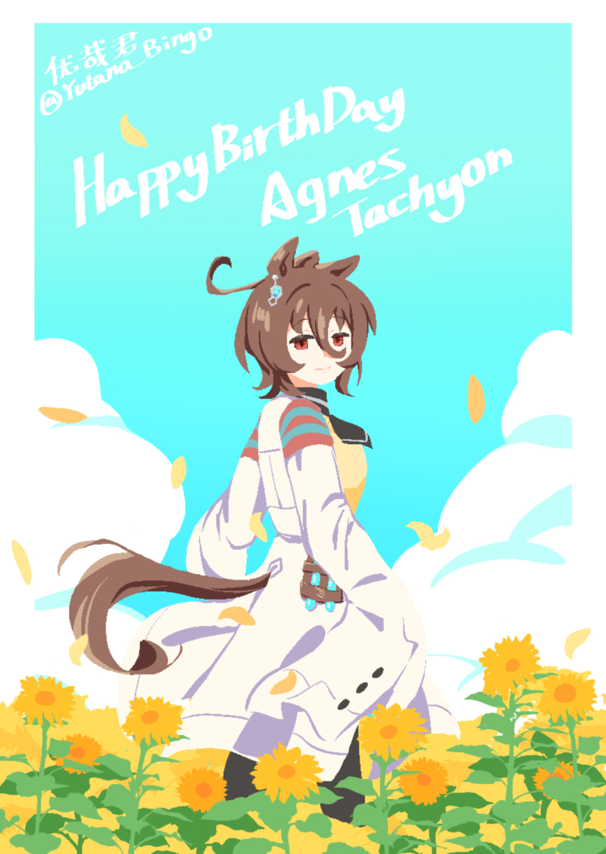 Agnes Tachyon (Tach-Nology) (Umamusume) Rule 34 Image
