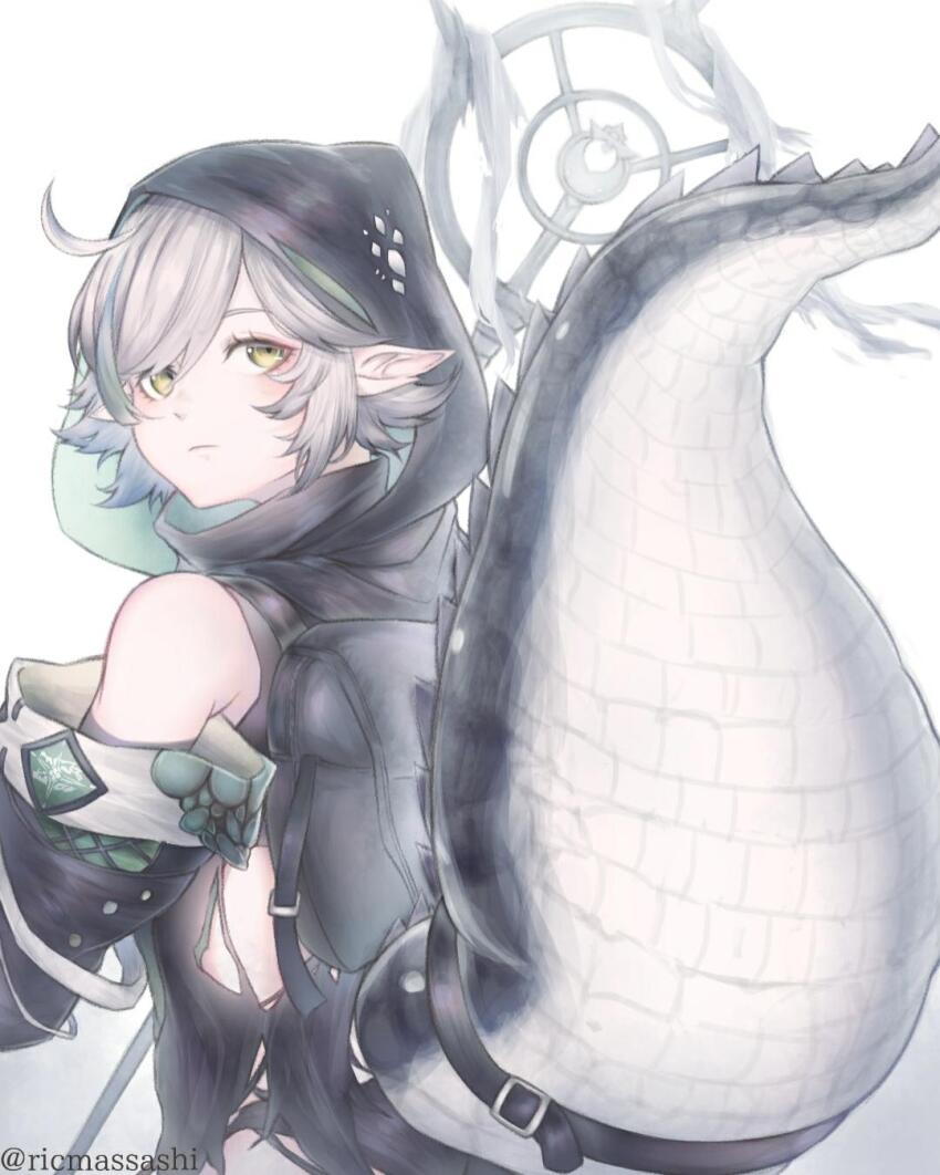 Tomimi (Arknights) Rule 34 Image