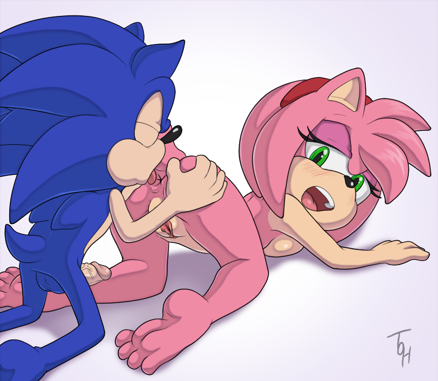 Amy Rose (Sega) Rule 34 Image