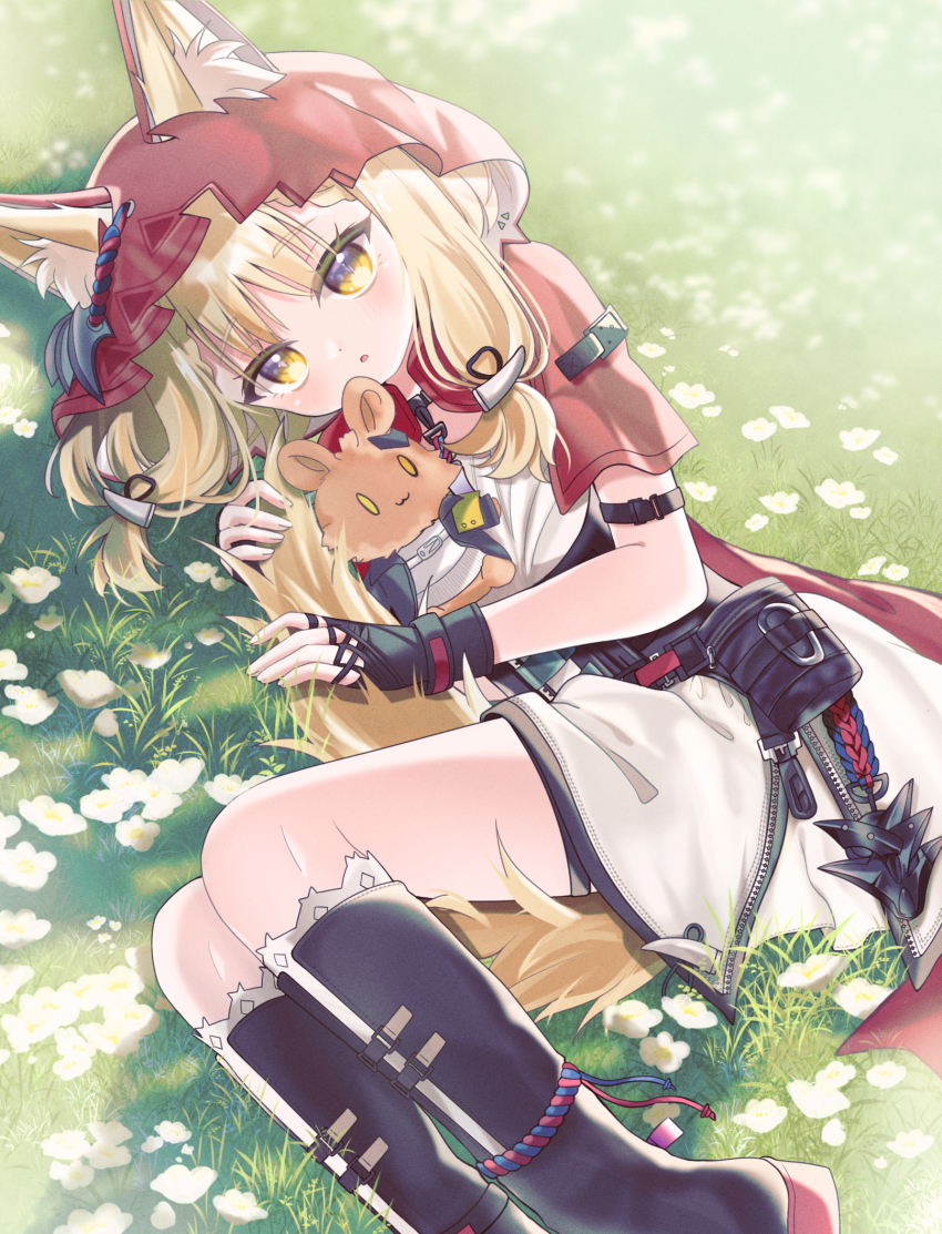 Rossi (Arknights) Rule 34 Image