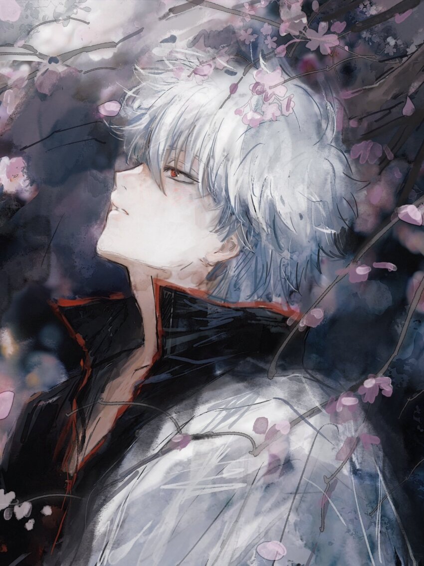 Gintama Rule 34 Image
