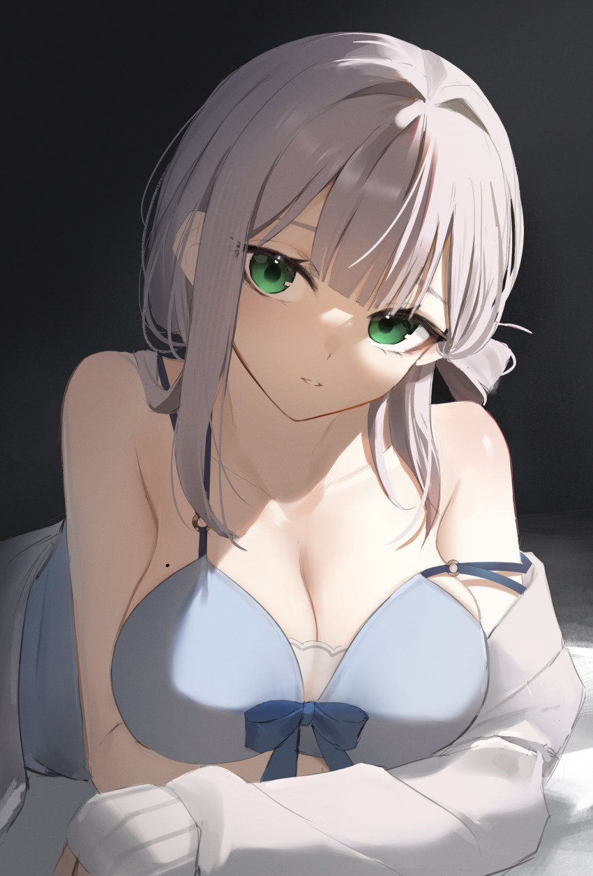 Shirogane Noel (Hololive) Rule 34 Image