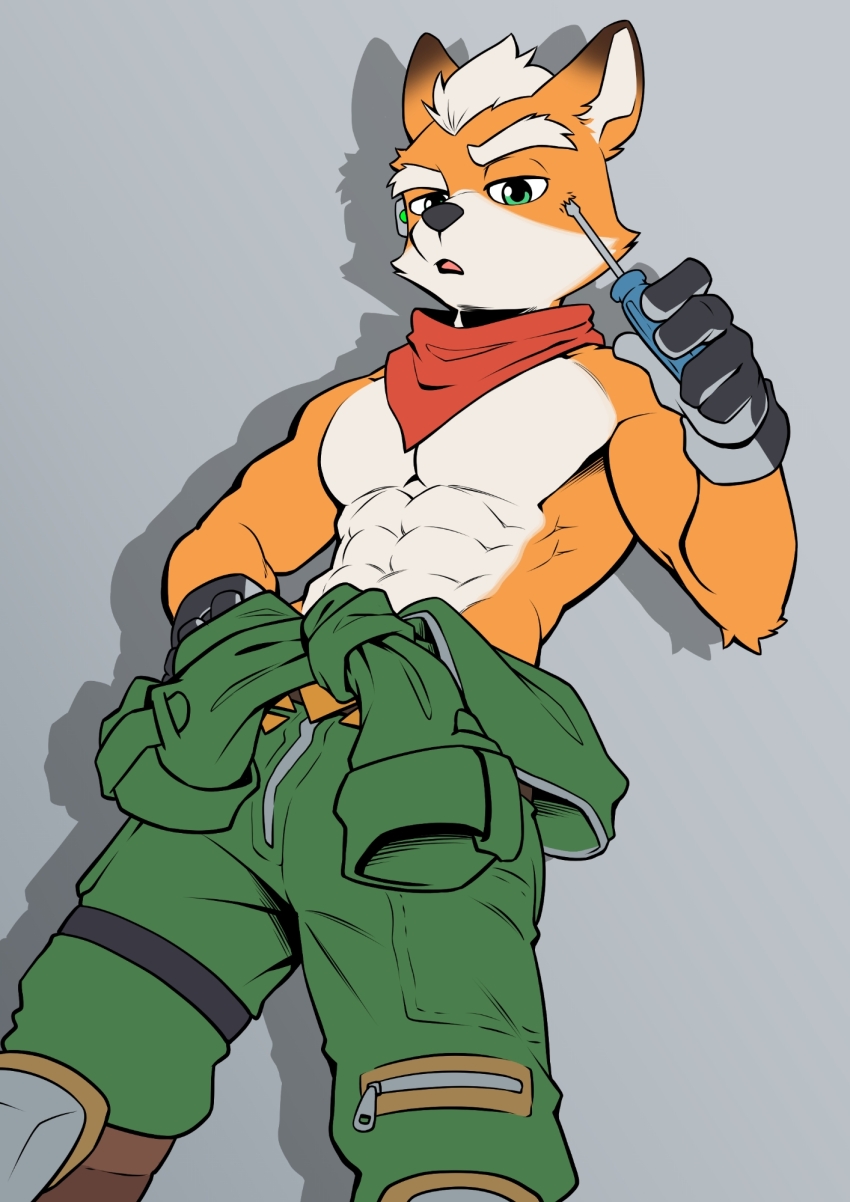 Fox Mccloud (Nintendo) Rule 34 Image
