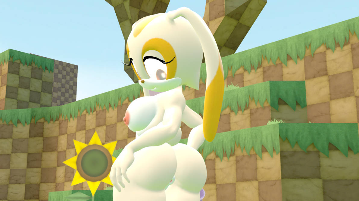Cream The Rabbit (Sonic (Series)) Rule 34 Image