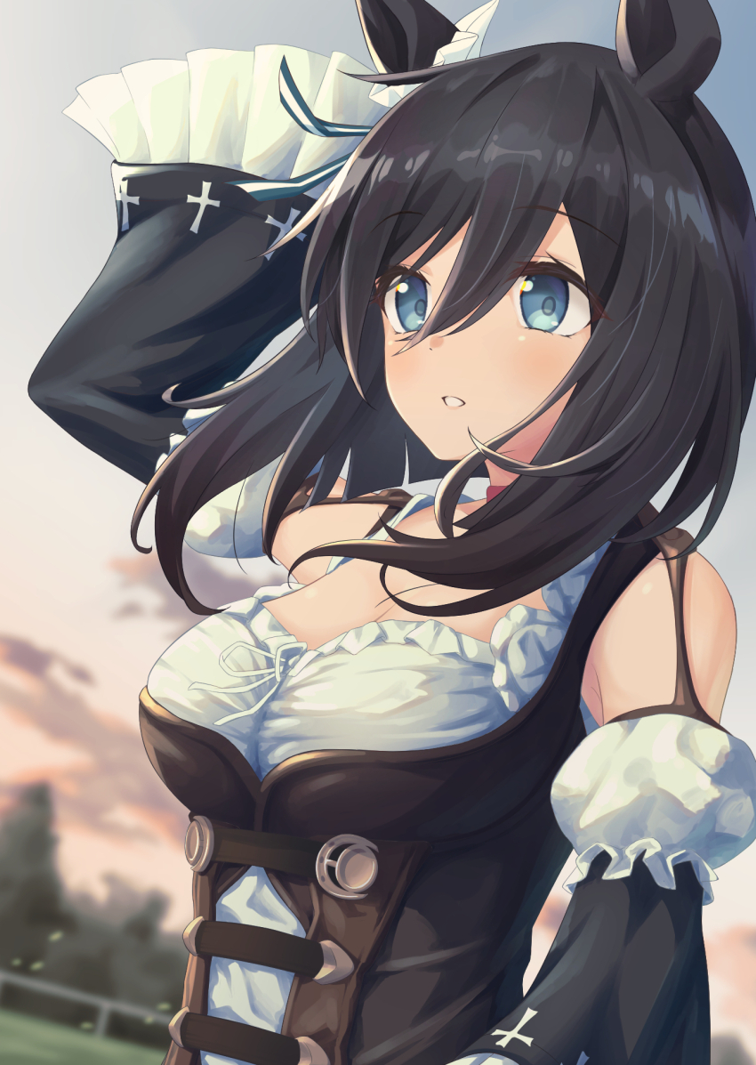 Eishin Flash (Umamusume) Rule 34 Image