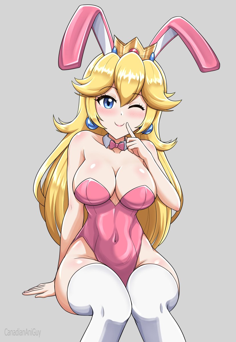 Princess Peach (Mario (Series)) Rule 34 Image