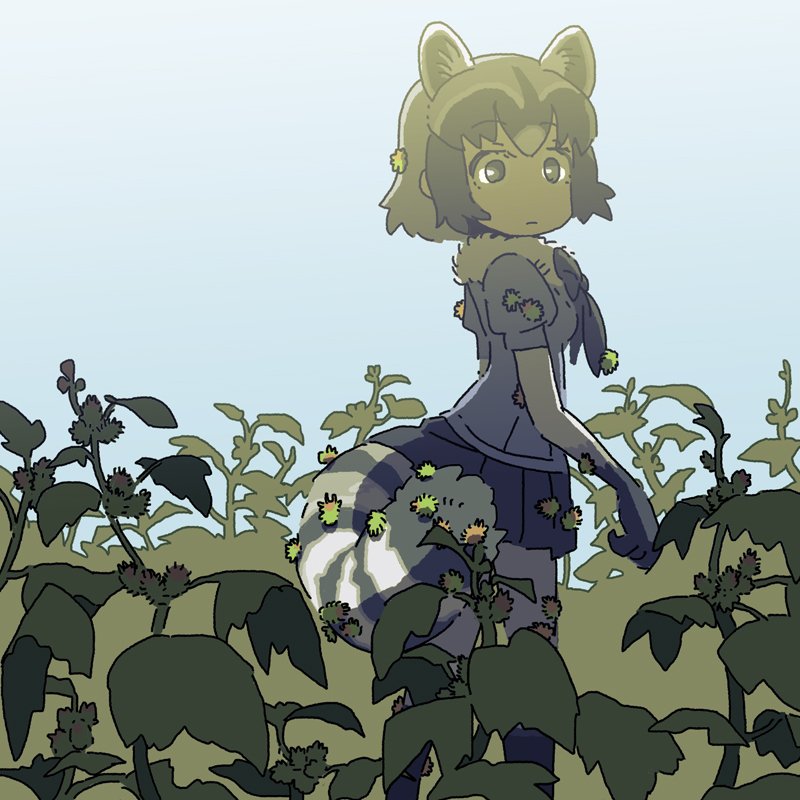 Common Raccoon (Kemono Friends) Rule 34 Image