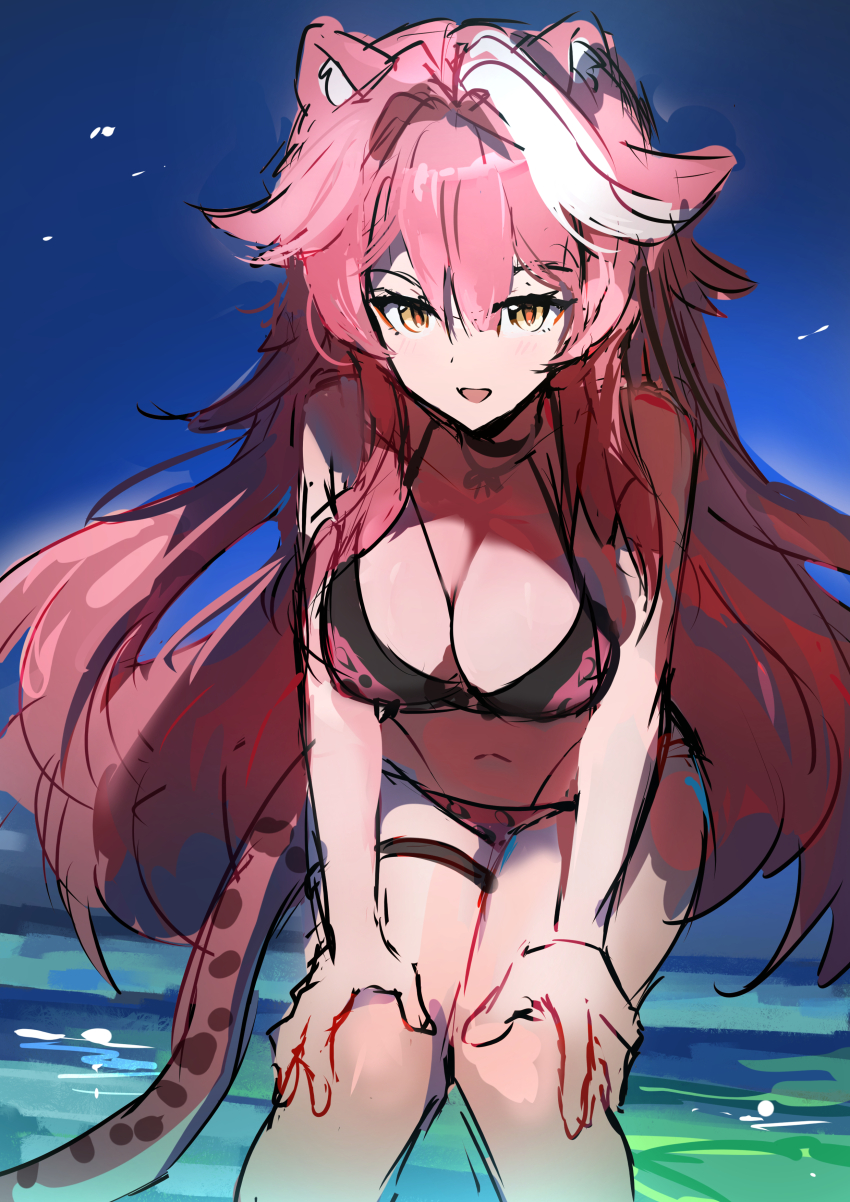 Raora Panthera (Hololive) Rule 34 Image