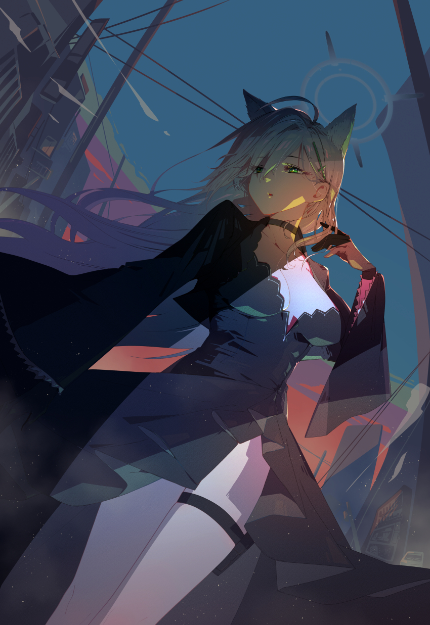 Shiroko Terror (Blue Archive) Rule 34 Image