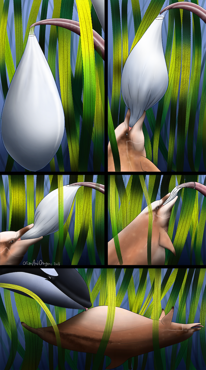 2016 Rule 34 Image