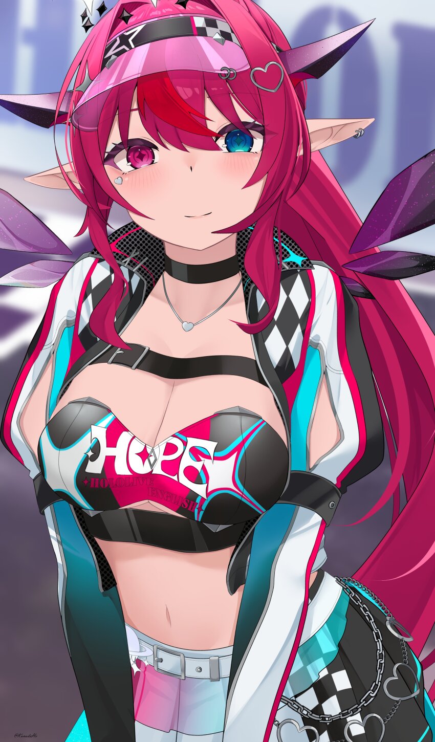 Irys (Hololive) Rule 34 Image