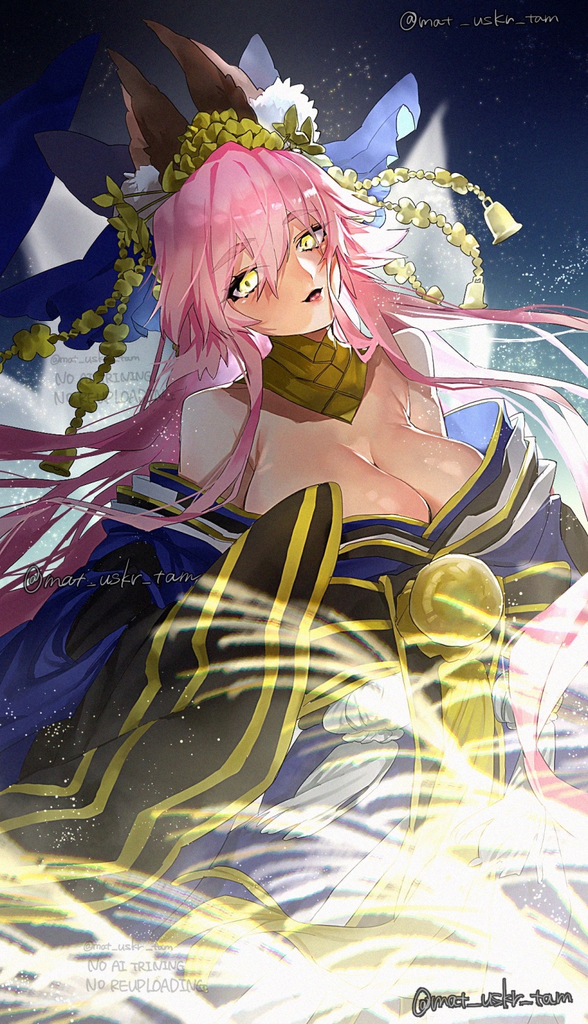 Tamamo No Mae (Fate) Rule 34 Image