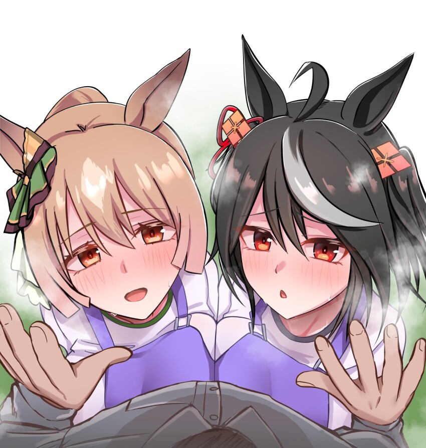 Kitasan Black (Umamusume) Rule 34 Image