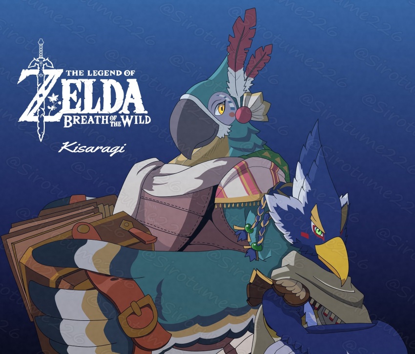 Kass (Nintendo) Rule 34 Image