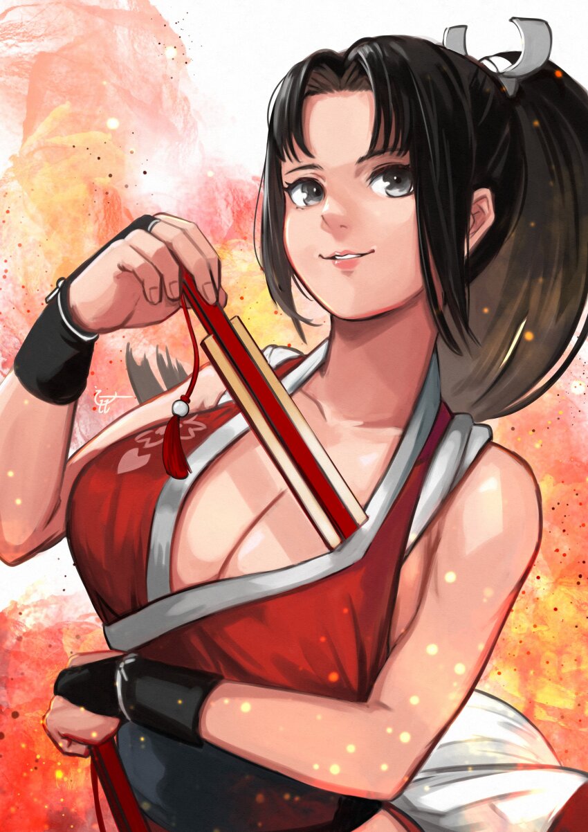 Fatal Fury Rule 34 Image