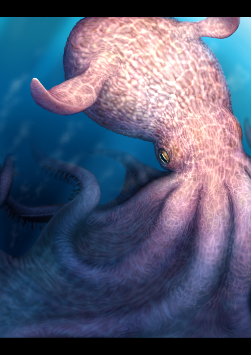 Original Rule 34 Image
