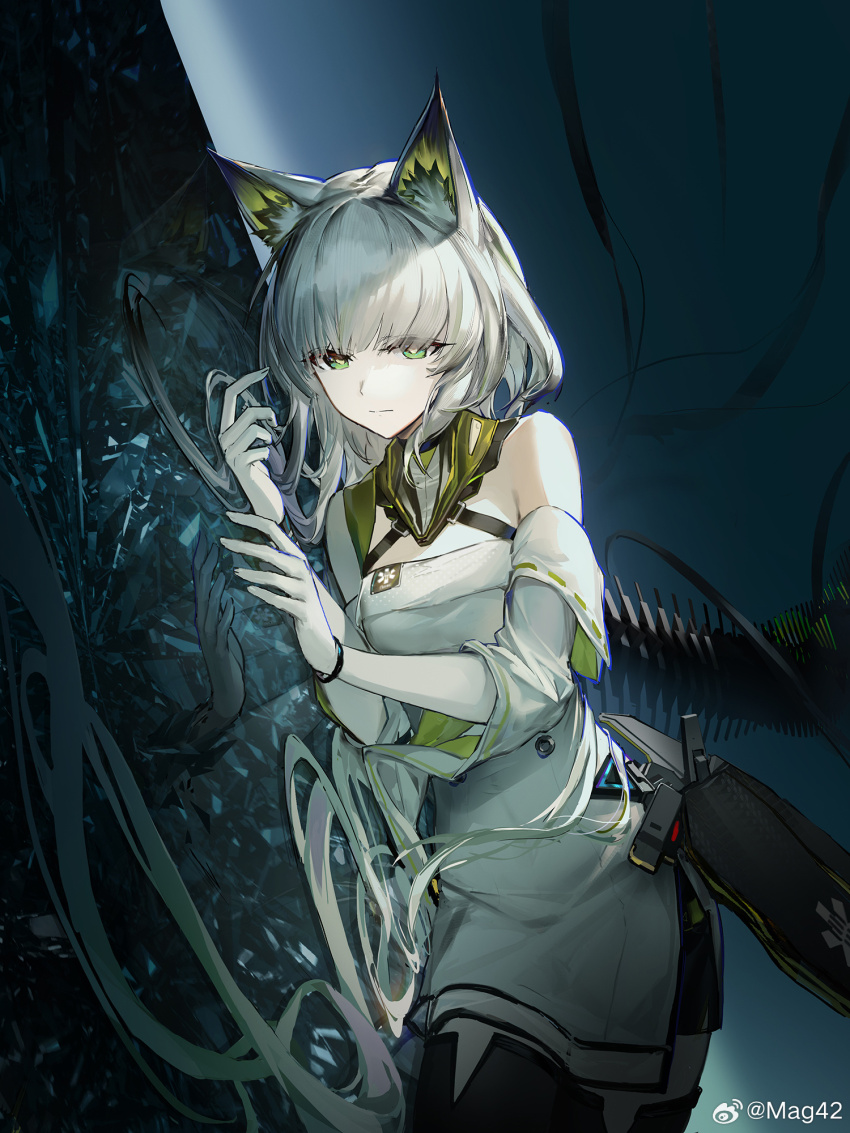 Kal'Tsit (Arknights) Rule 34 Image