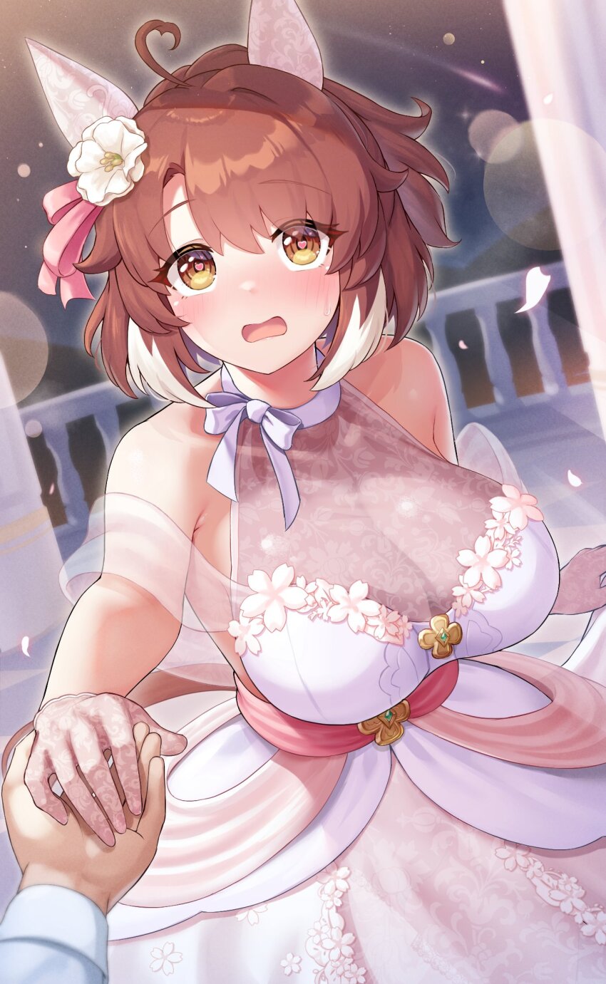 Dantsu Flame (Umamusume) Rule 34 Image