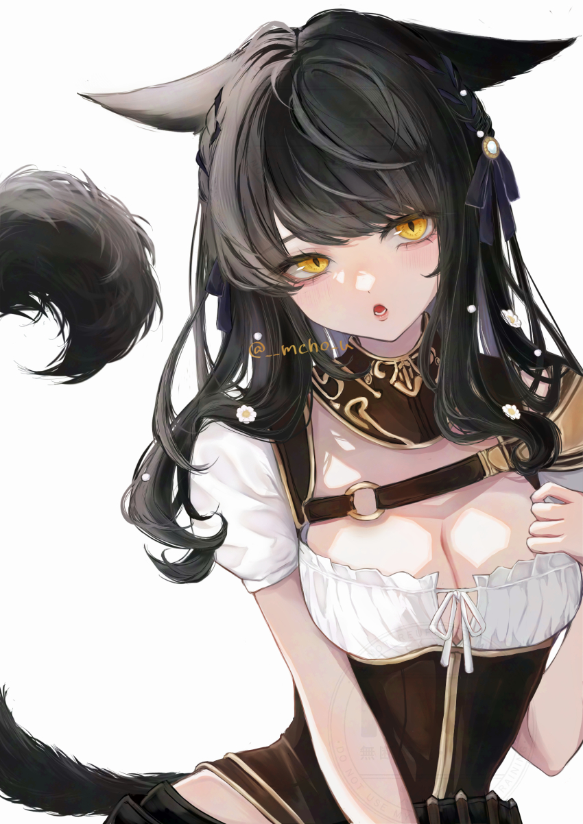 Miqo'Te (Final Fantasy) Rule 34 Image