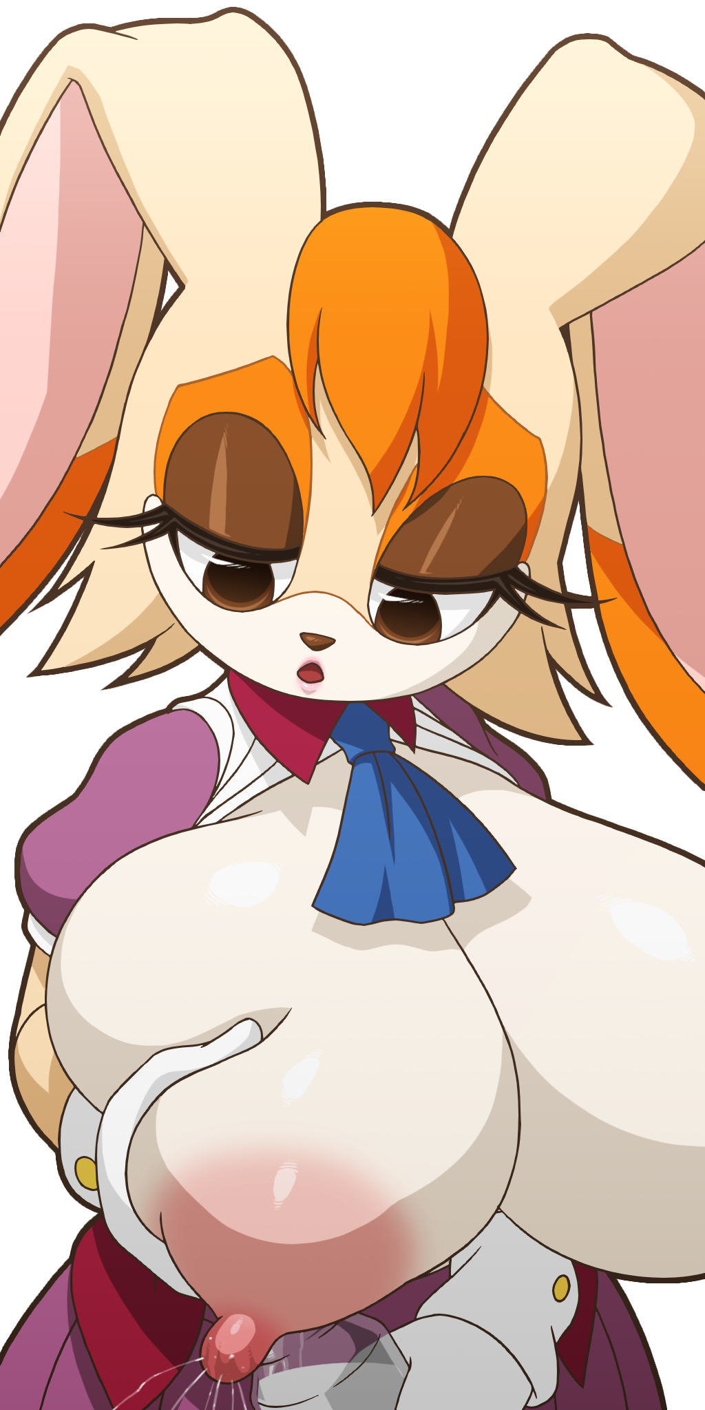 Vanilla The Rabbit (Sonic (Series)) Rule 34 Image