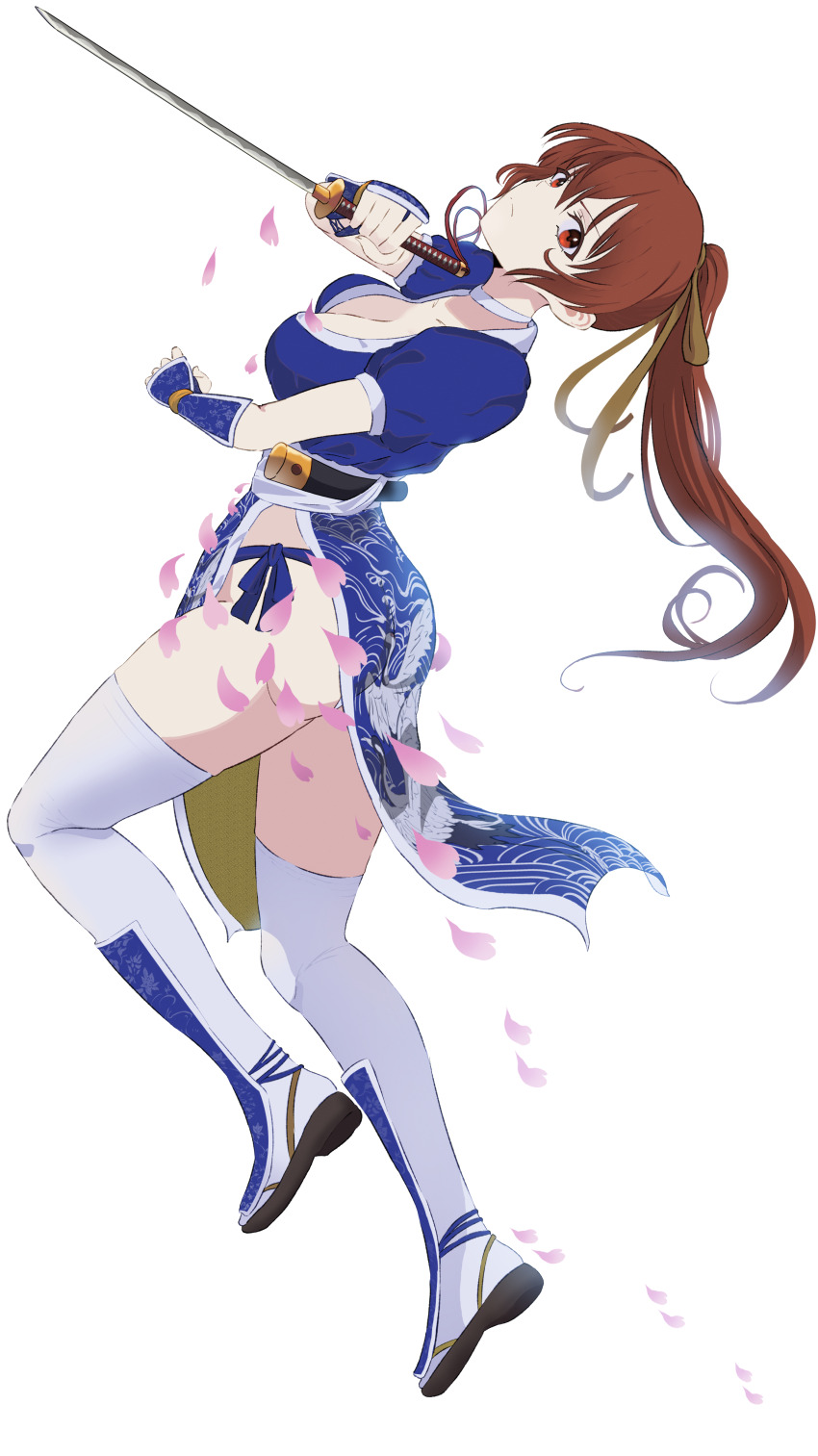 Kasumi (Doa) Rule 34 Image