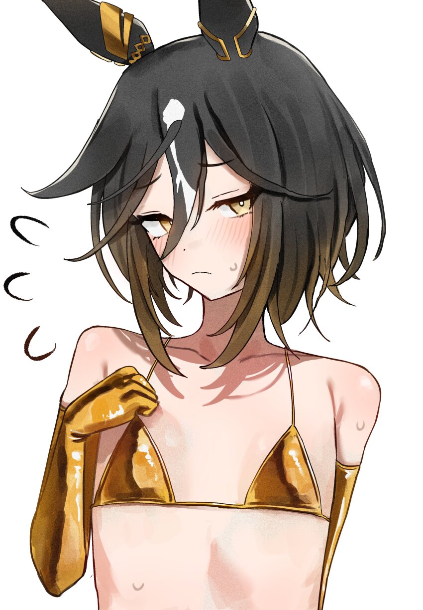 Stay Gold (Umamusume) Rule 34 Image