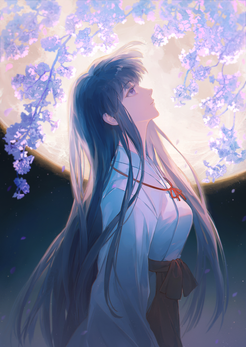 Kikyou (Inuyasha) Rule 34 Image