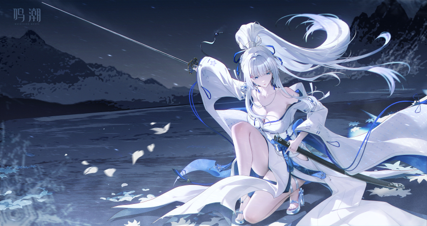 Hiyuki (Wuthering Waves) Rule 34 Image
