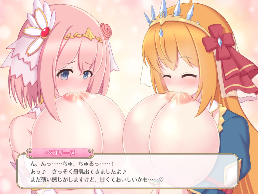 Pecorine (Princess Connect!) Rule 34 Image