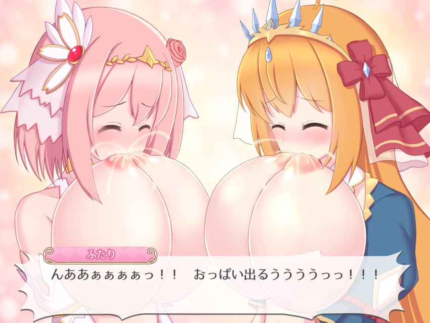 Pecorine (Princess Connect!) Rule 34 Image