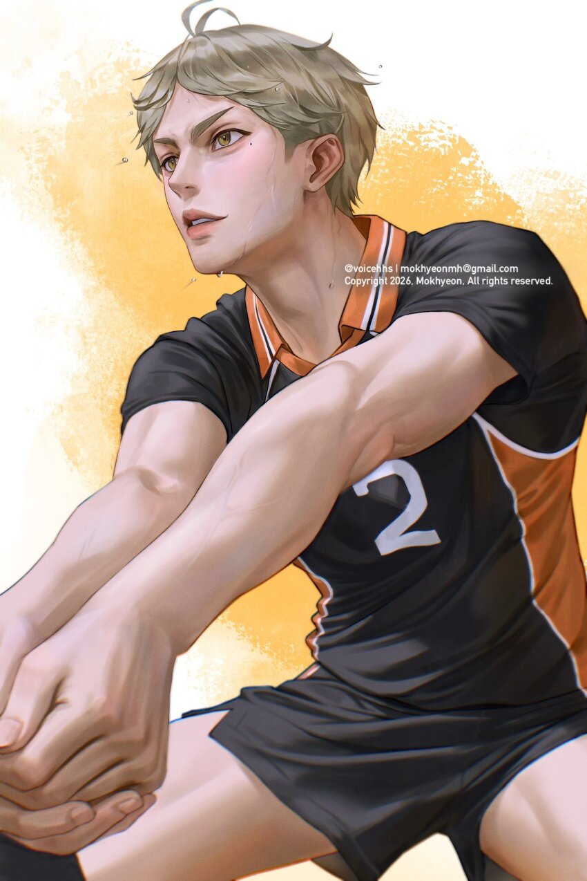 Sugawara Koushi (Haikyuu!!) Rule 34 Image
