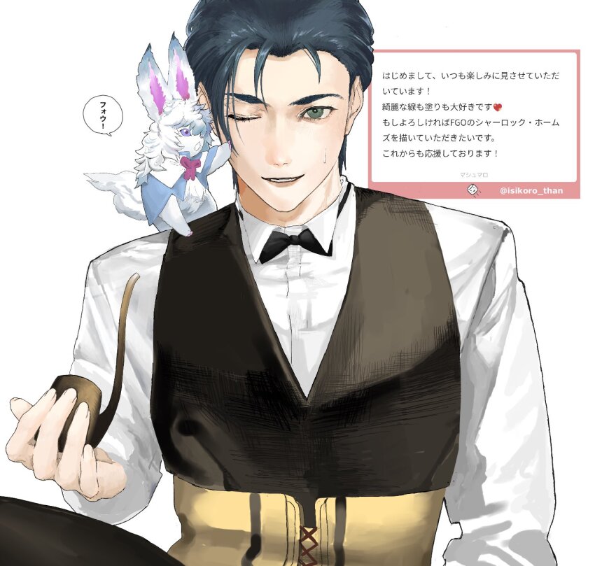 Fou (Fate) Rule 34 Image