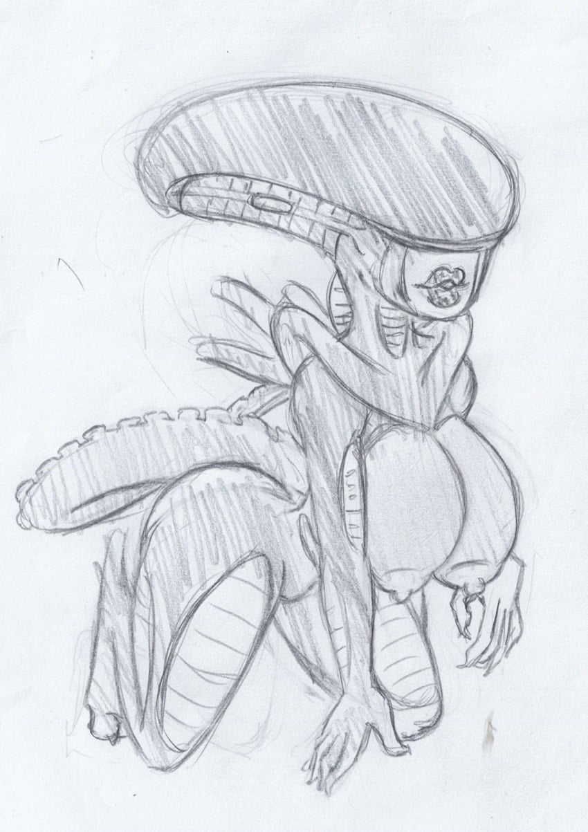 Xenomorph (20th Century Fox) Rule 34 Image